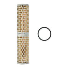 AEM Universal High Volume Fuel Filter Element - 25-202