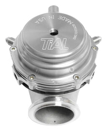 TiAL Sport MVR Wastegate 44mm (All Springs) w/Clamps - Silver - 001930