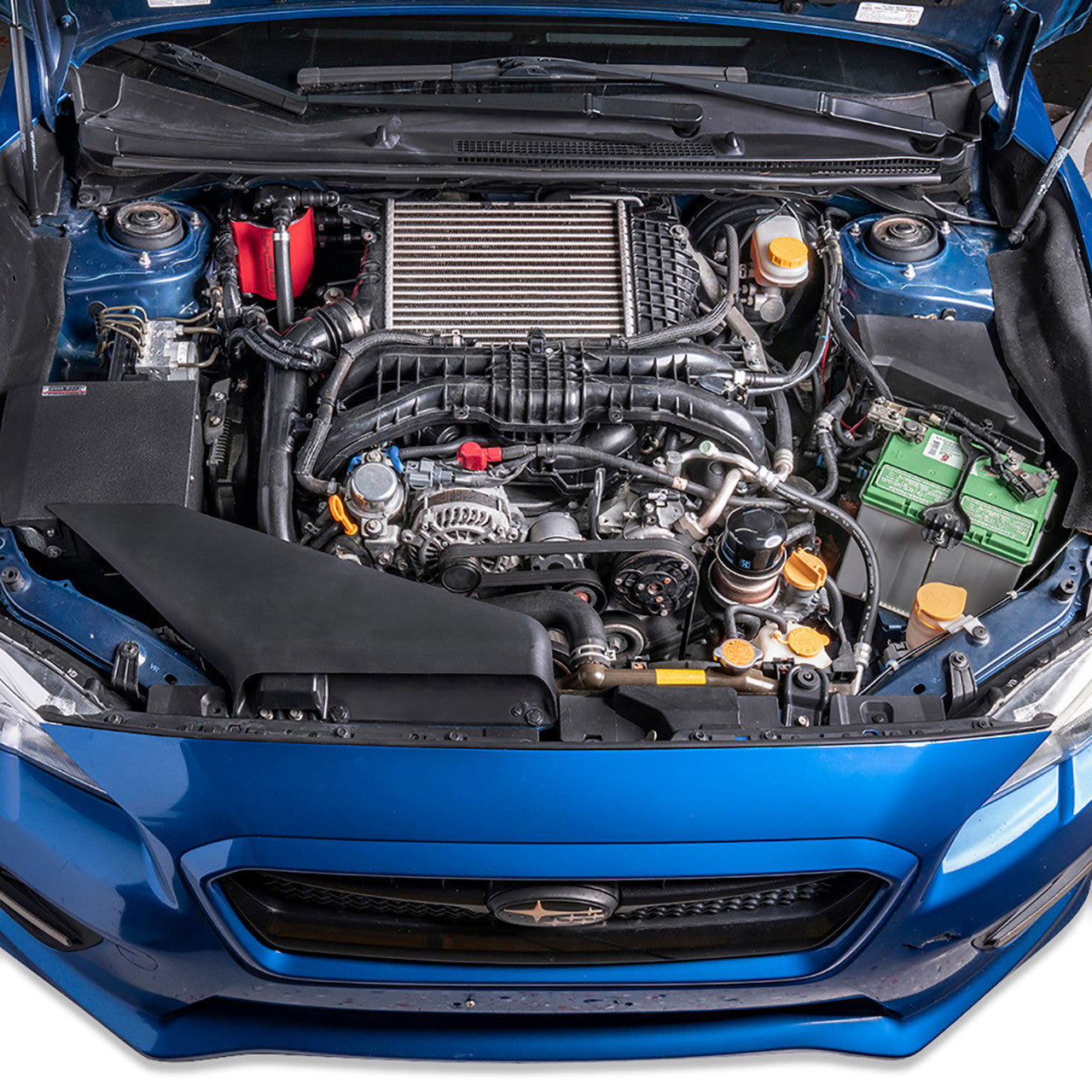 IAG Air / Oil Separator (AOS) Fits 2015-21 Subaru WRX, 14-18 FXT - Installed