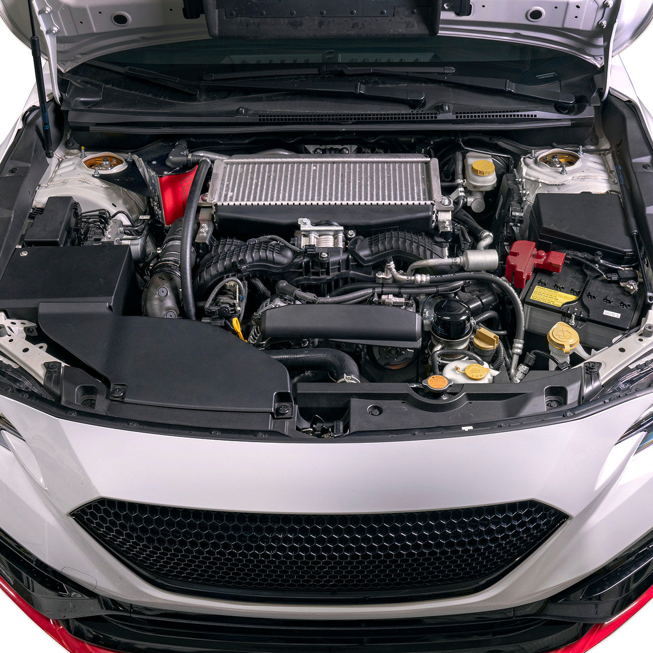 IAG Air / Oil Separator (AOS) Fits 2022-24 Subaru WRX - Installed