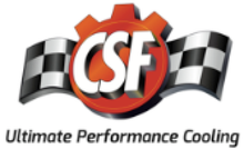 CSF Image